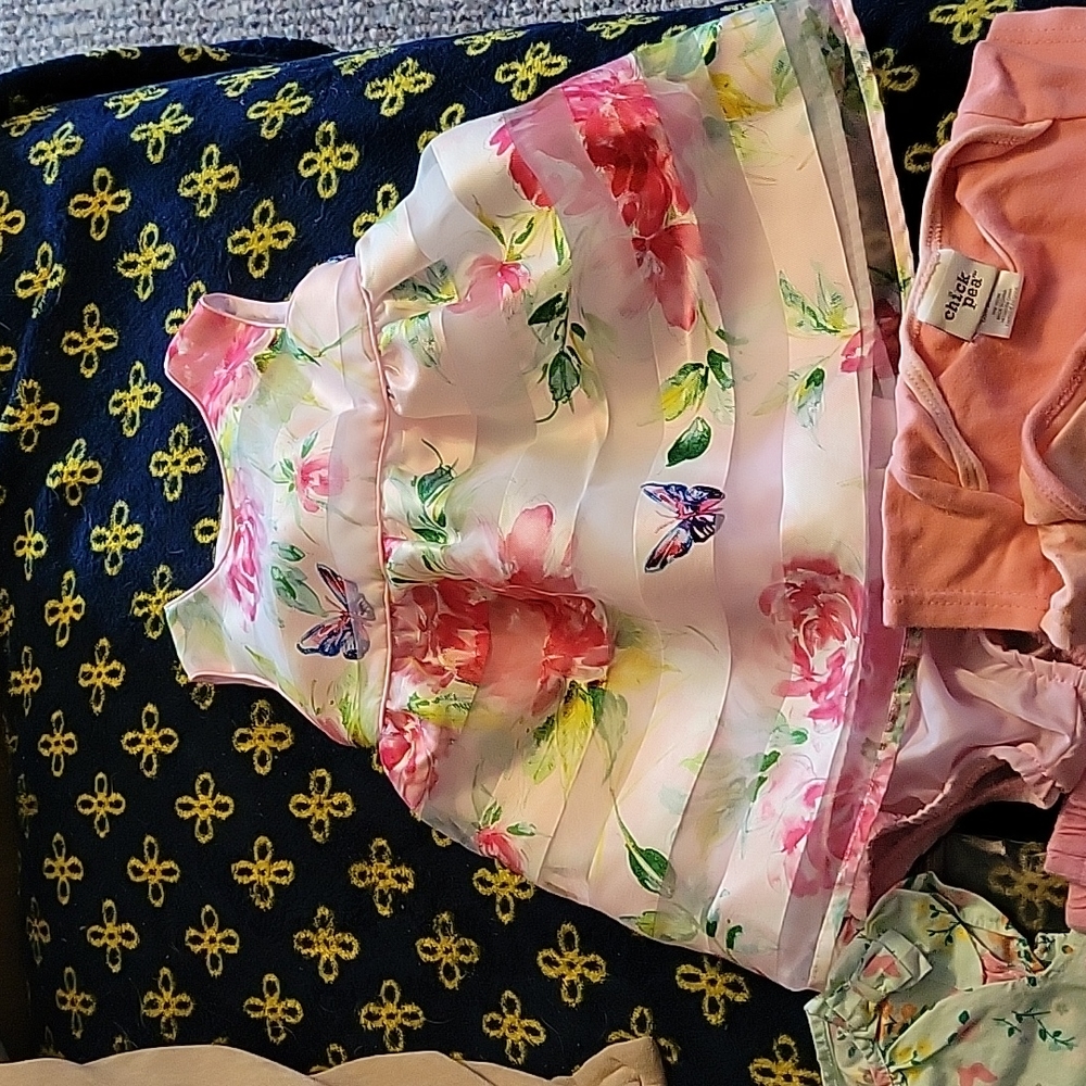 10 piece lot of girls 6-9 months clothing. Various brands